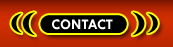 Domination Phone Sex Contact 